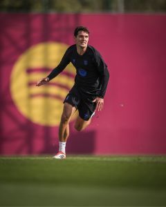 DIPLOMA PROFESIONAL EN READAPTACIÓN INTEGRAL DEL DEPORTISTA LESIONADO