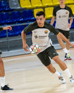 Certificado en Entrenamiento en los Deportes de Equipo Indoor