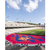 Certificado en Gestión Deportiva