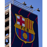 Basic Elements of Sports Law