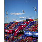 Certificado en gestión estratégica para eventos, ligas y competiciones deportivas