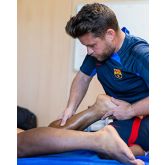 Specialized Program in Team Sports Injuries